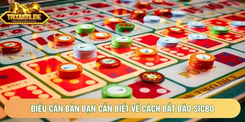 Điều căn bản bạn cần biết về cách bắt bão sicbo