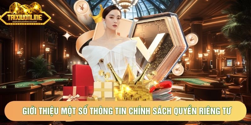 Giới thiệu một số thông tin chính sách quyền riêng tư