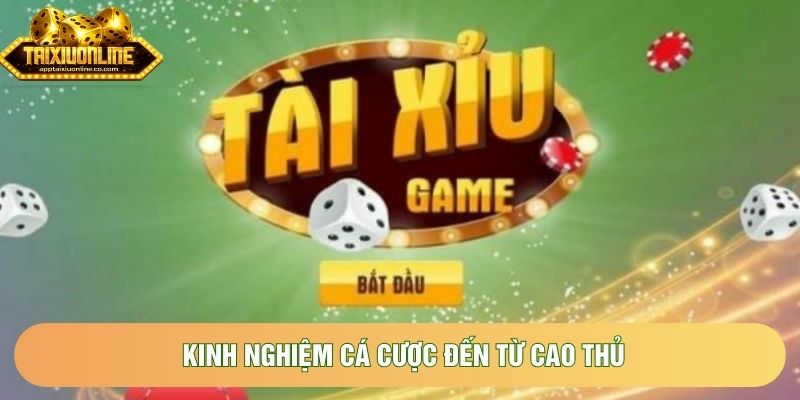 Kinh nghiệm cá cược đến từ cao thủ