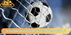 Tài Xỉu Bóng Đá Và Cách Đọc Kèo Hiệu Quả Cho Người Mới