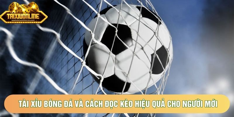 Tài Xỉu Bóng Đá Và Cách Đọc Kèo Hiệu Quả Cho Người Mới