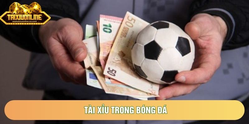 Tài Xỉu Trong Bóng Đá | Khái Niệm Và Chi Tiết Cách Vận Hành Hiệu Quả