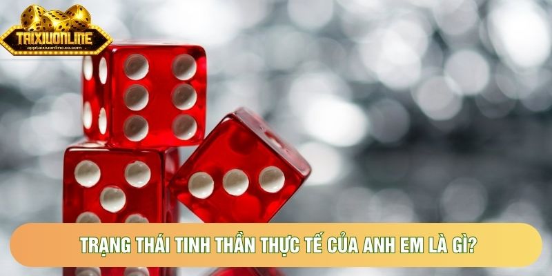 Trạng thái tinh thần thực tế của anh em là gì?